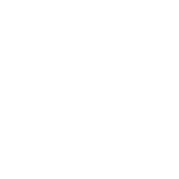 Visão